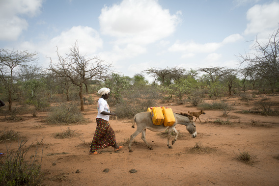 Dürre in Ostafrika