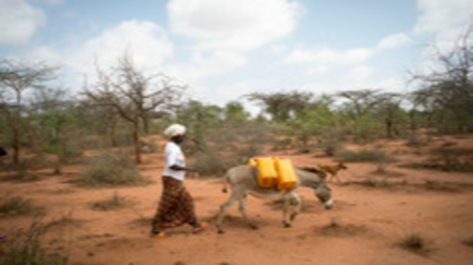 Spenden statt Geschenke. Gemeinsam gegen den Hunger in Ostafrika